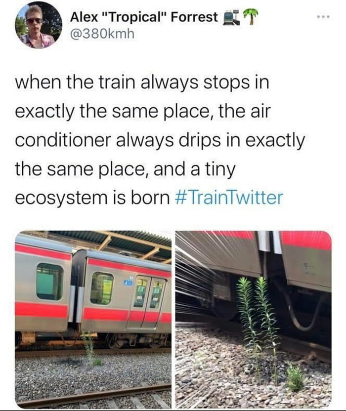 Enjoy little yhings in life