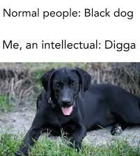 Error 404: title not found