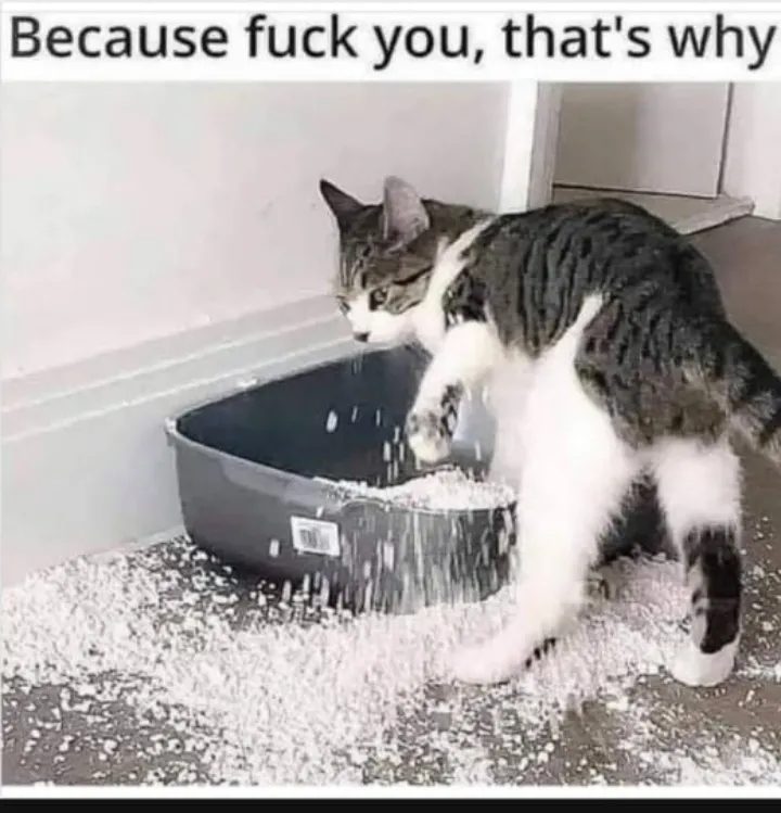 Everything clear???