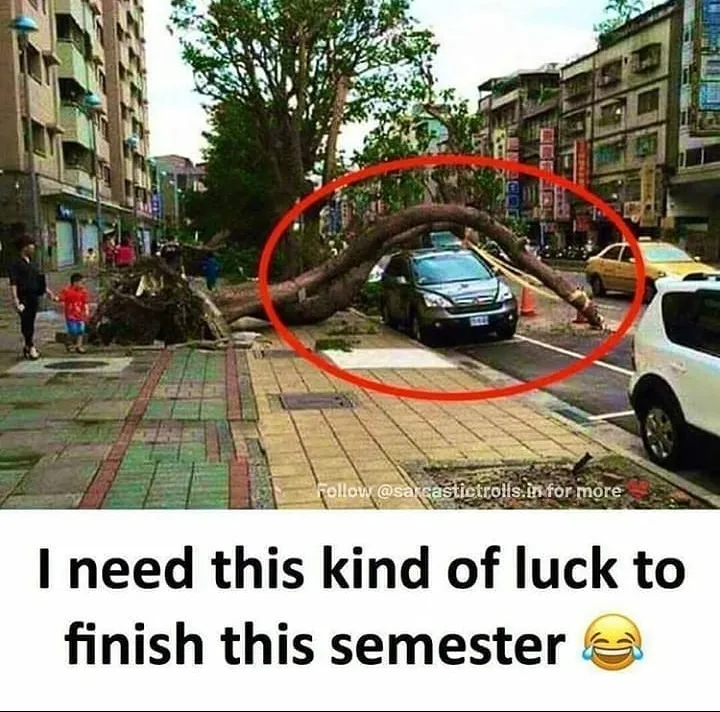 Finish the semister