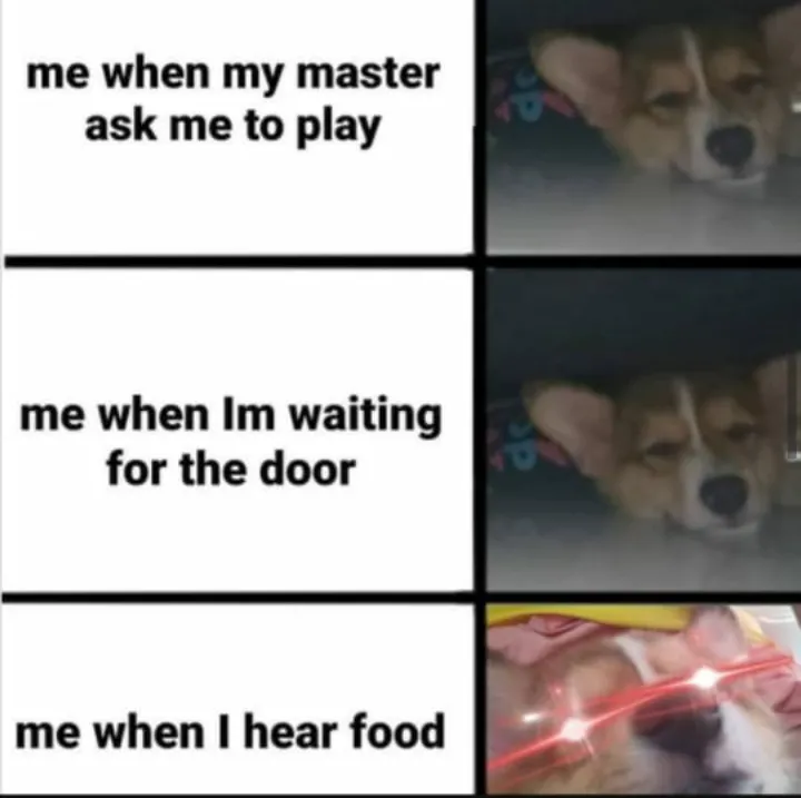 Food is important