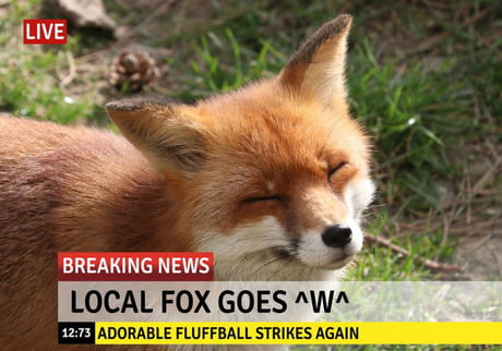 Fox News or something, idk I don&#039;t watch TV