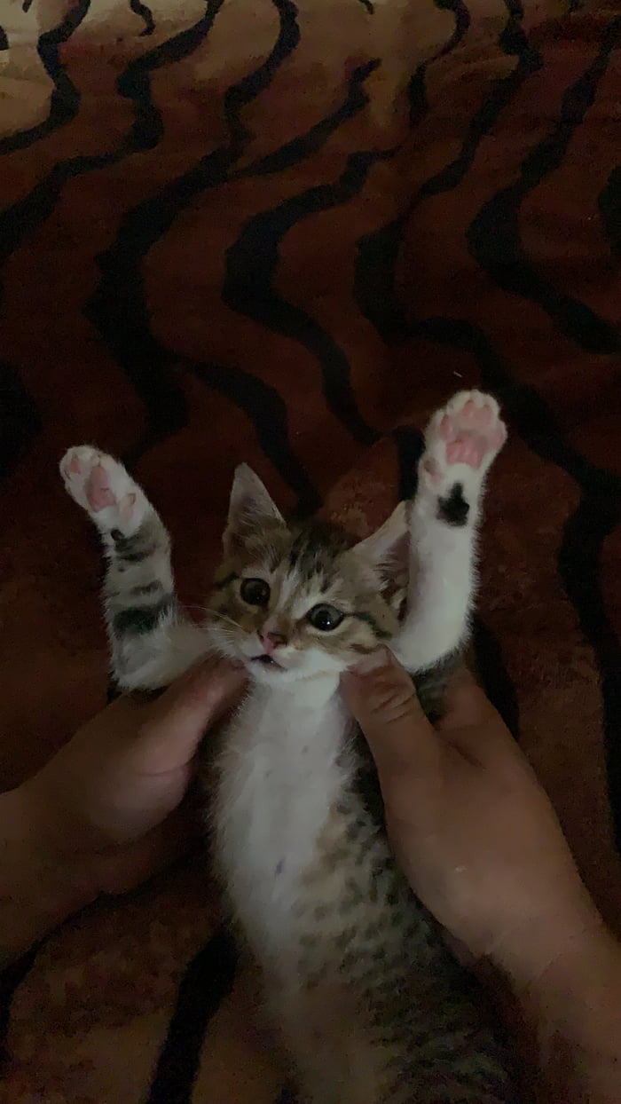 Freeze!