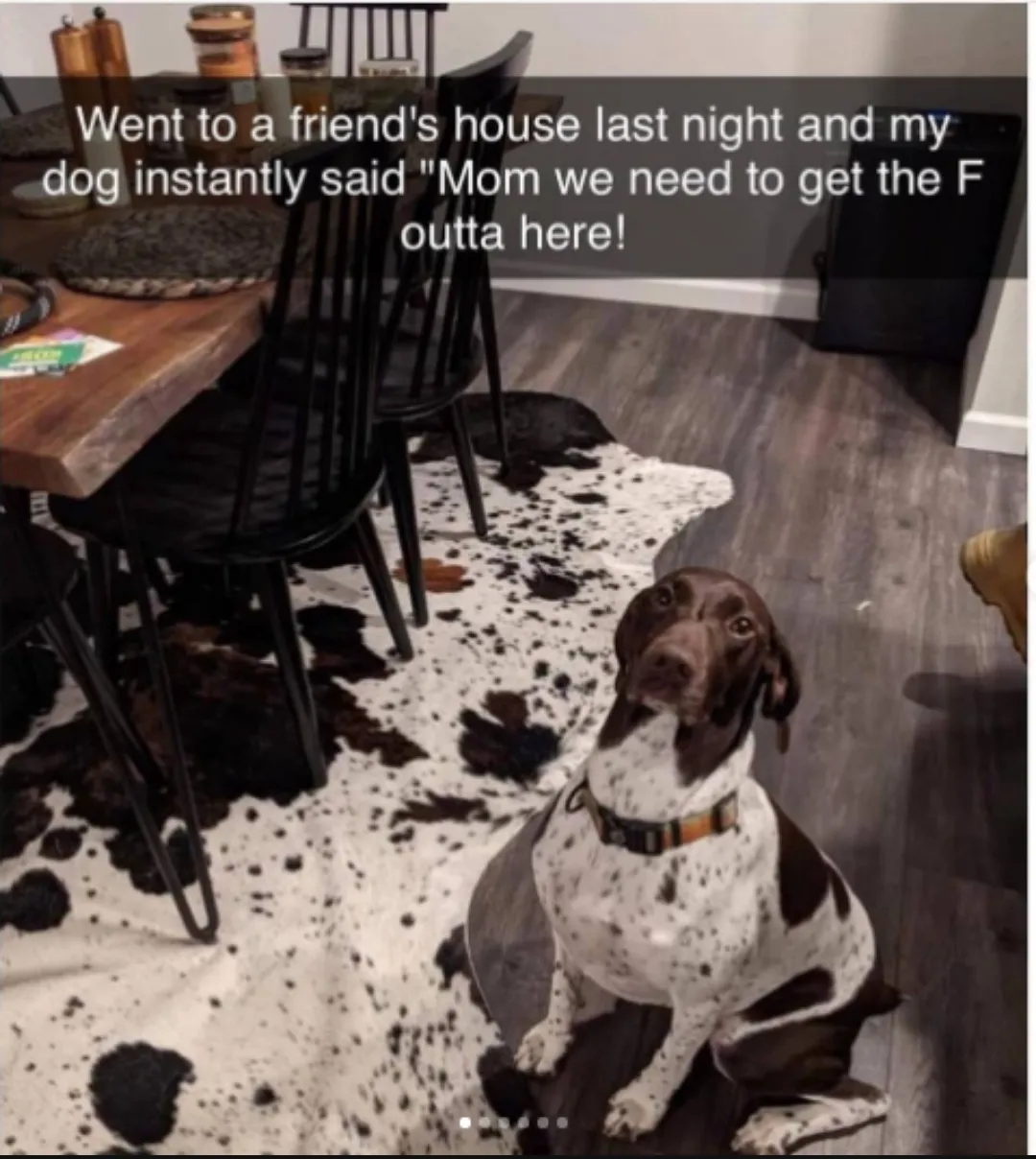 Friends house