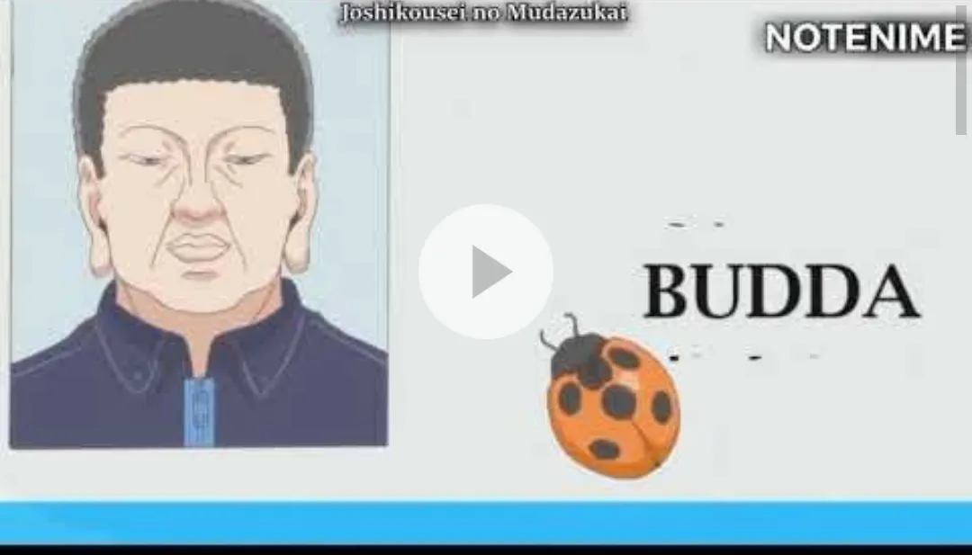 Funnny anime what are they doing