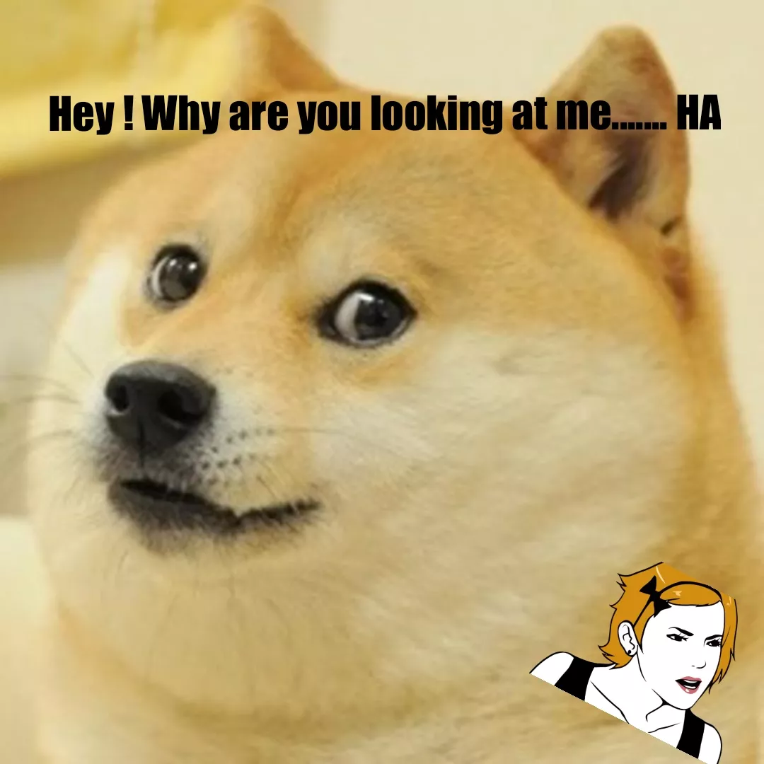 #funny 