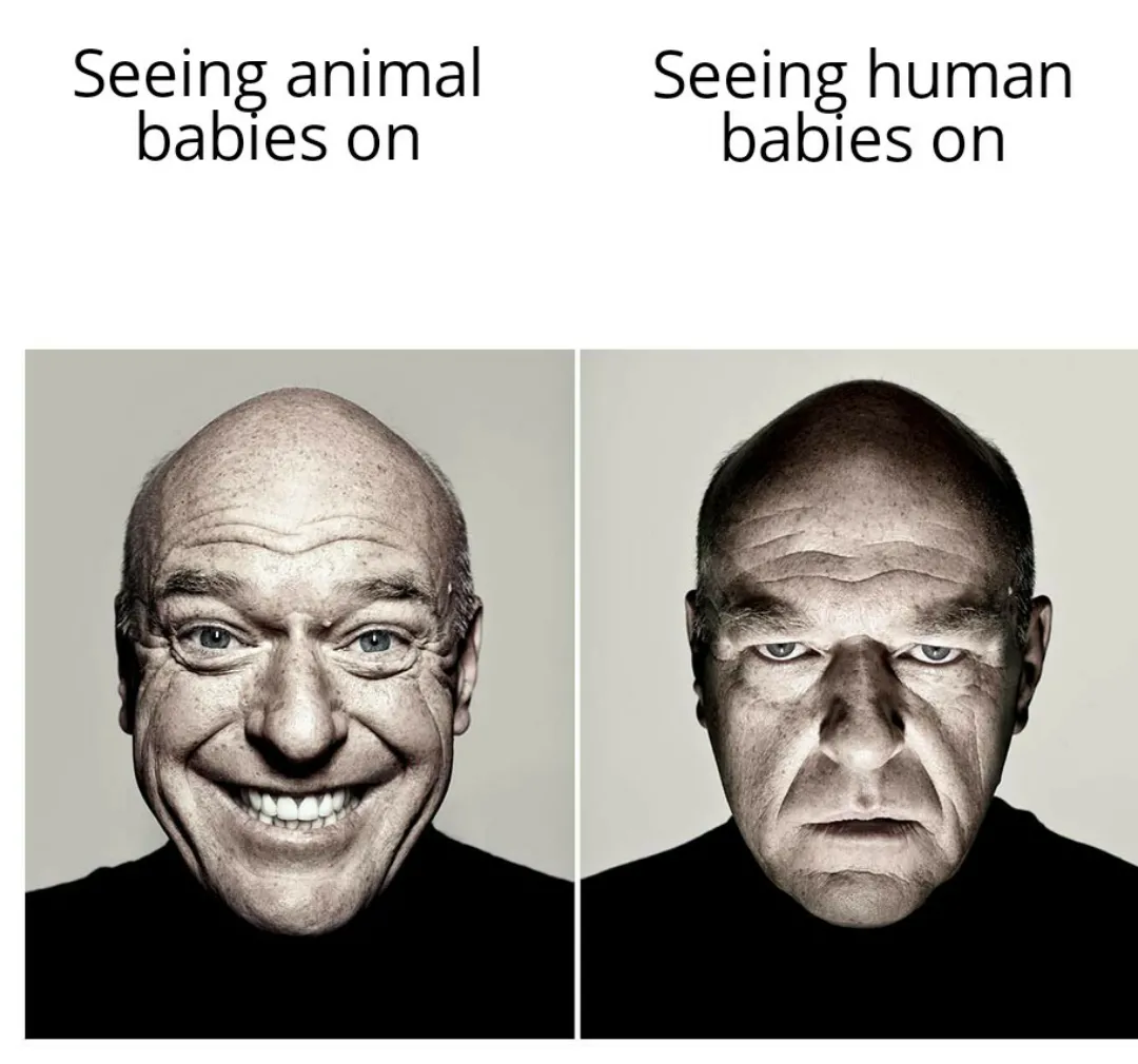 Funny meme.