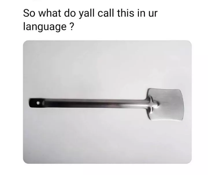 Funny memes