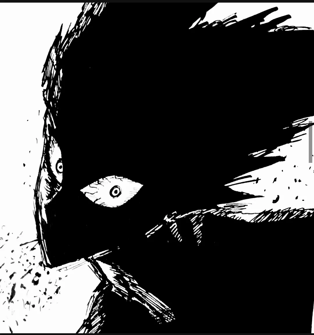Garou(one punch man)