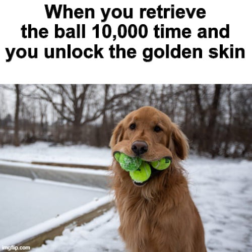Good boi!