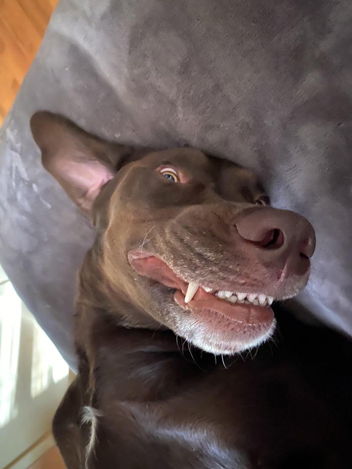 Good mornin&rsquo;