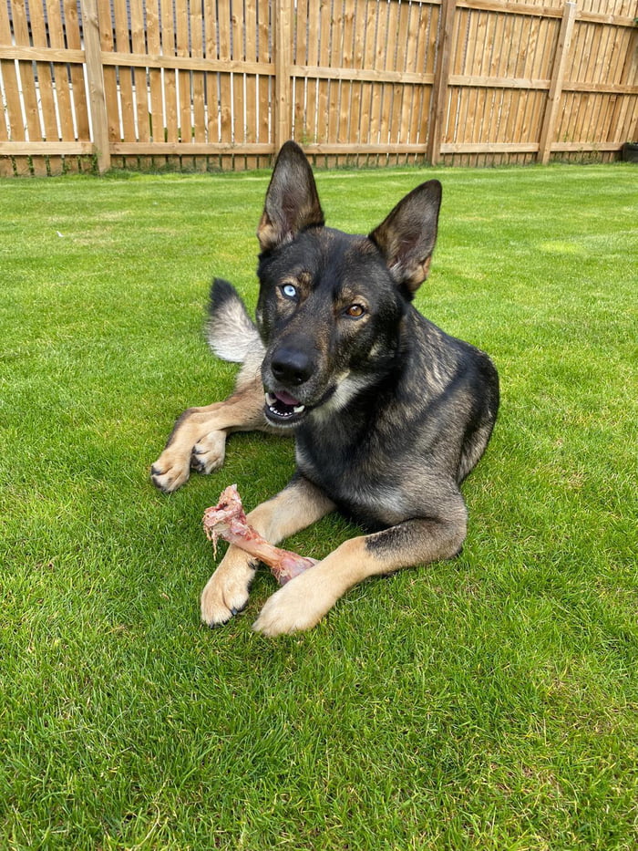 Happy boy