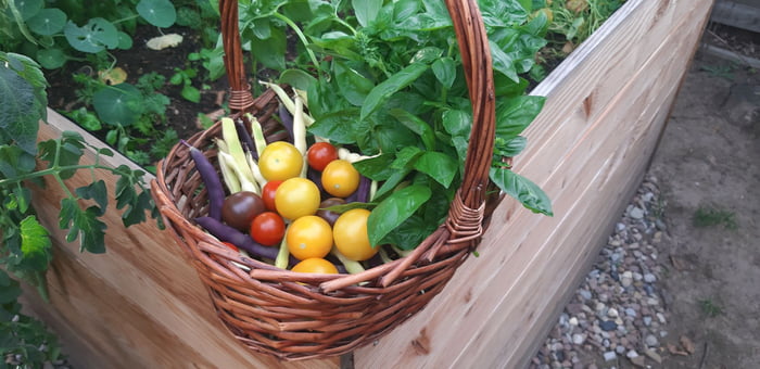 Happy harvest, my fellow gardeners!