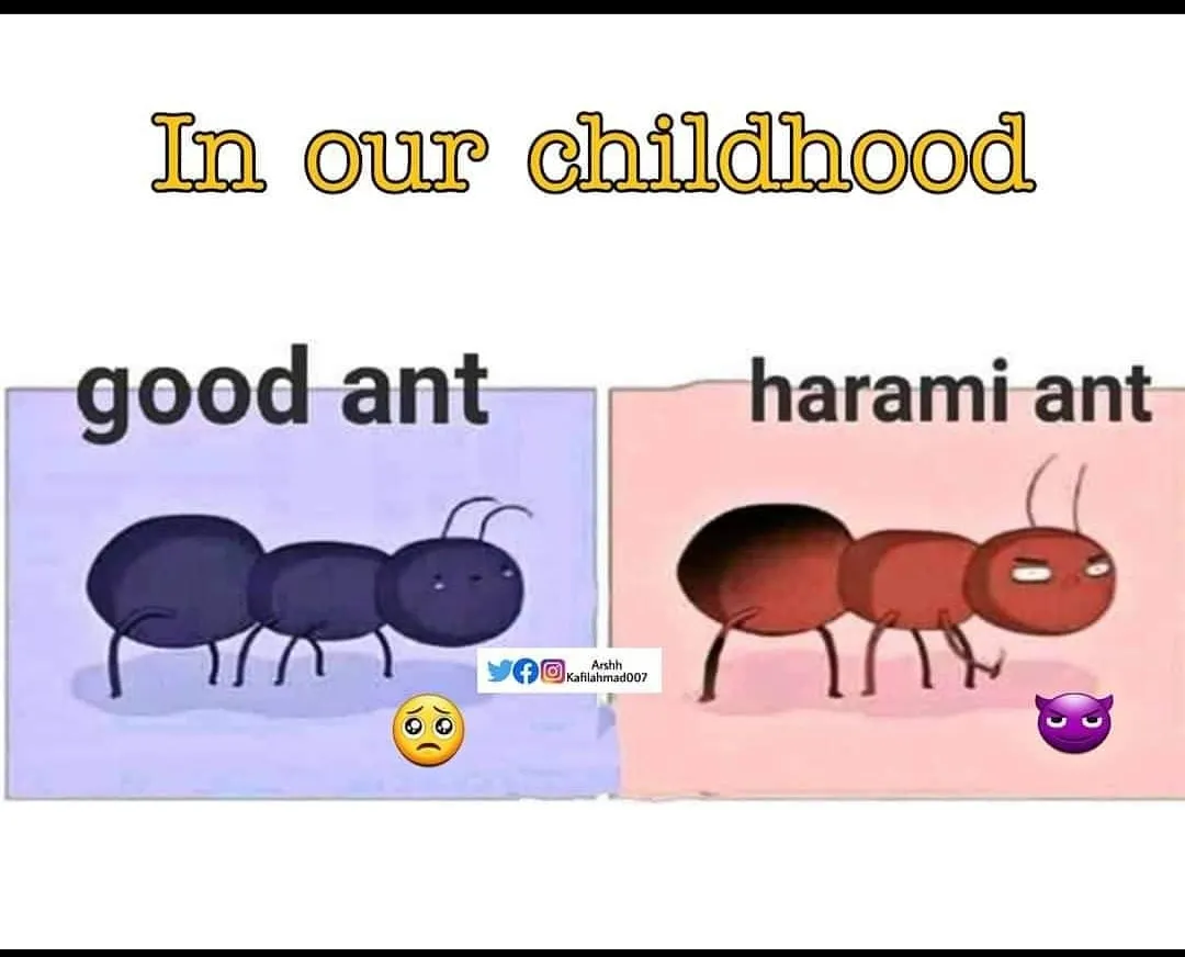 Haraaaami!!!!