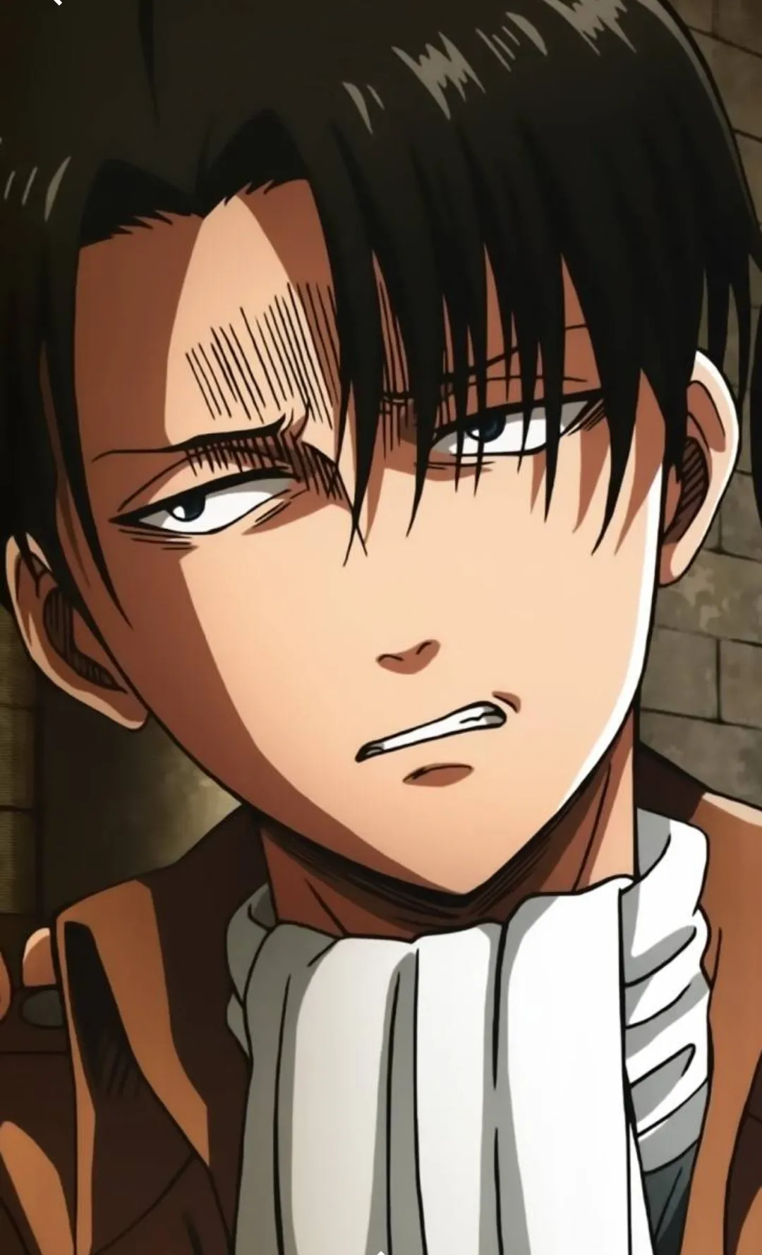 Hasty levi