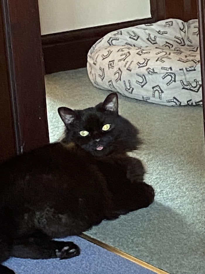 He do a baby mlem