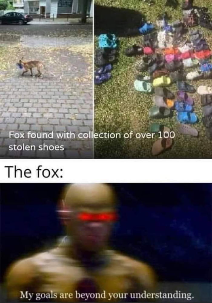 He doesn&#039;t give a Fox.