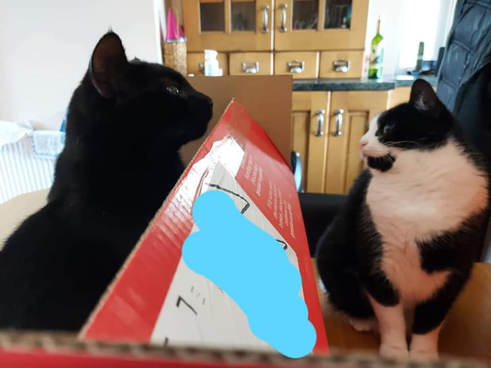 He's not doing anything but at every turn she still HATE HIMB