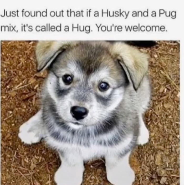 He&rsquo;s so cute