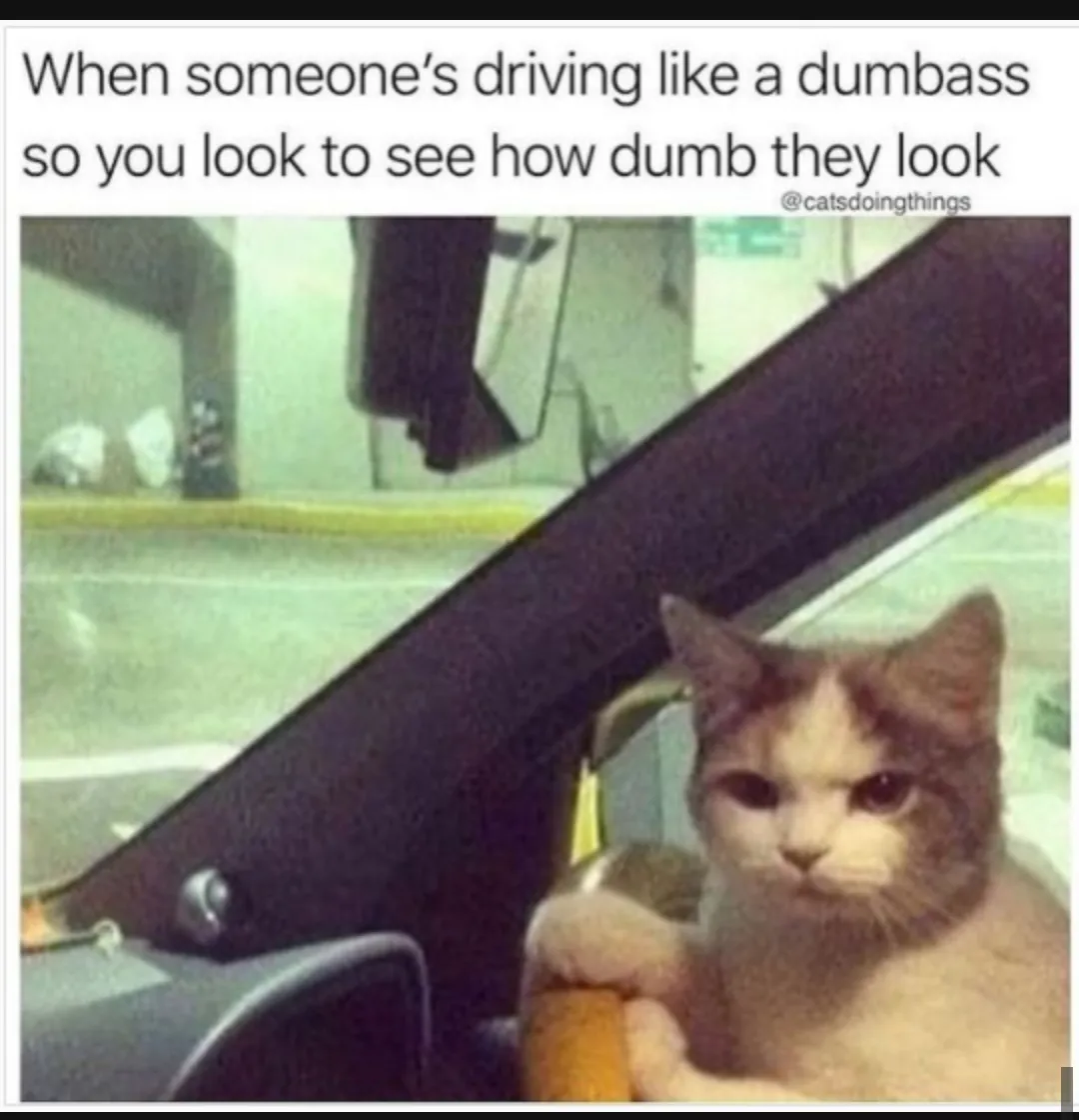 Hey dumber flumber