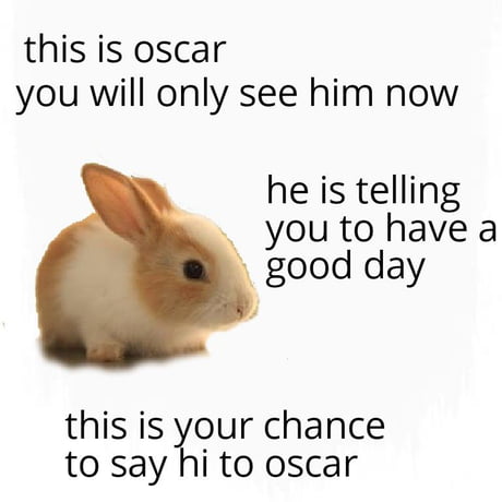 Hi oscar