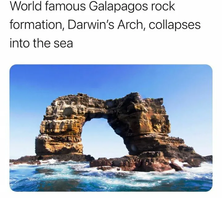 Holy shittt