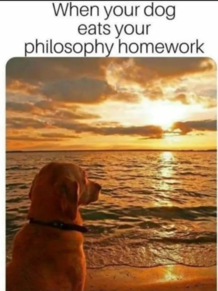 Homework nice