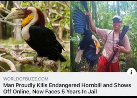 How can people be proud of this?