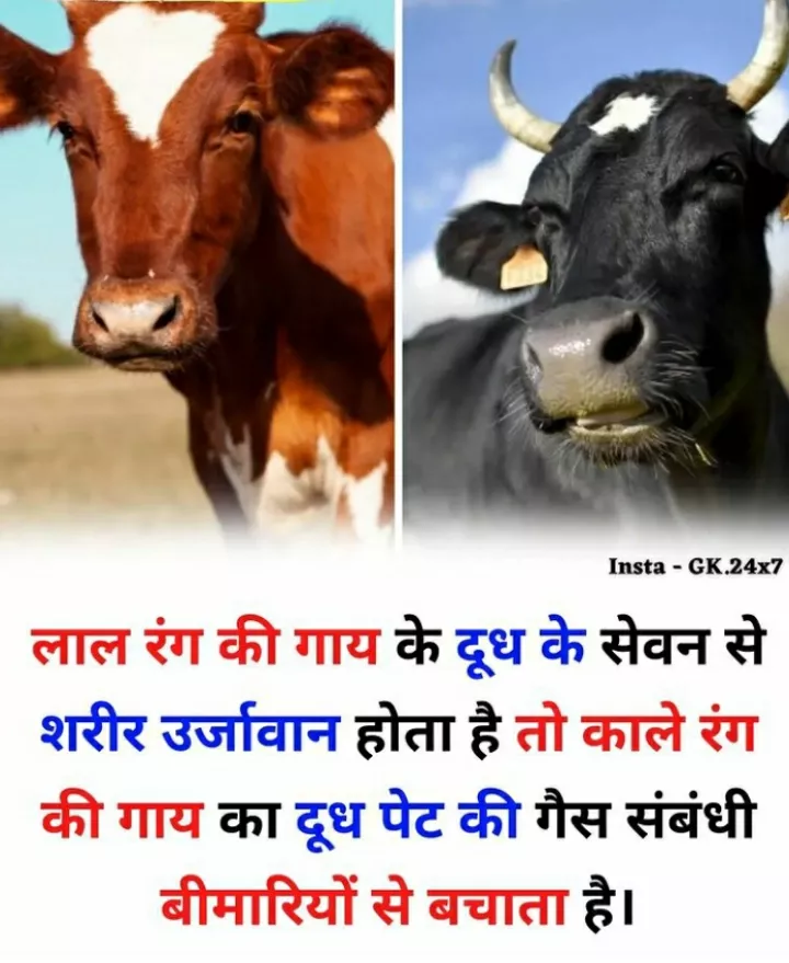 How Milk is useful