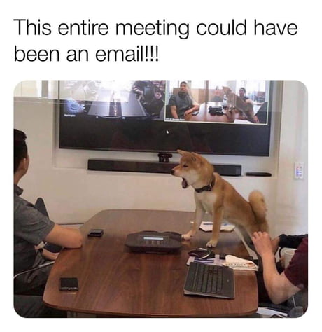 I can feel the doggo&rsquo;s frustration