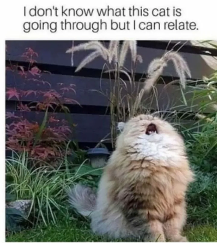 I can relate very much