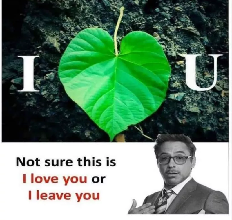 I loeve you