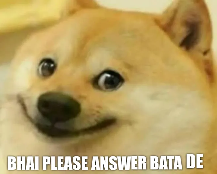 I love dogs