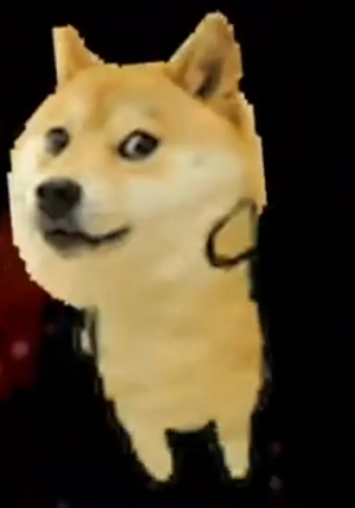 I love dogs