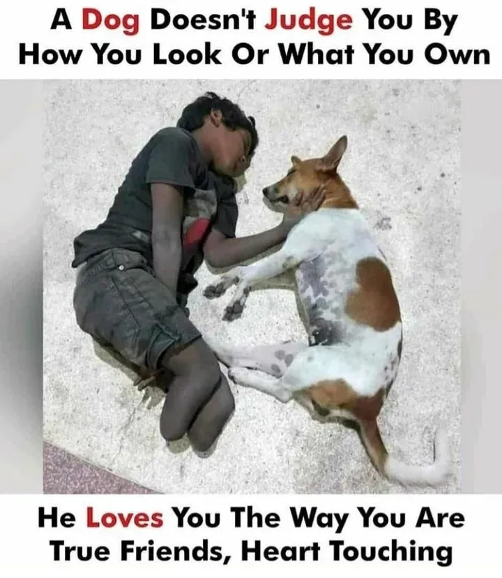 I, love, memes