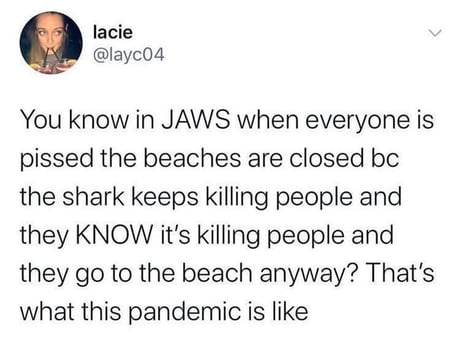 Idiots everywhere