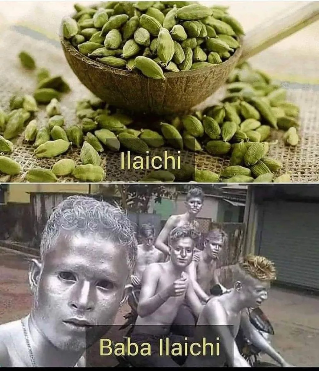 Ilaichi