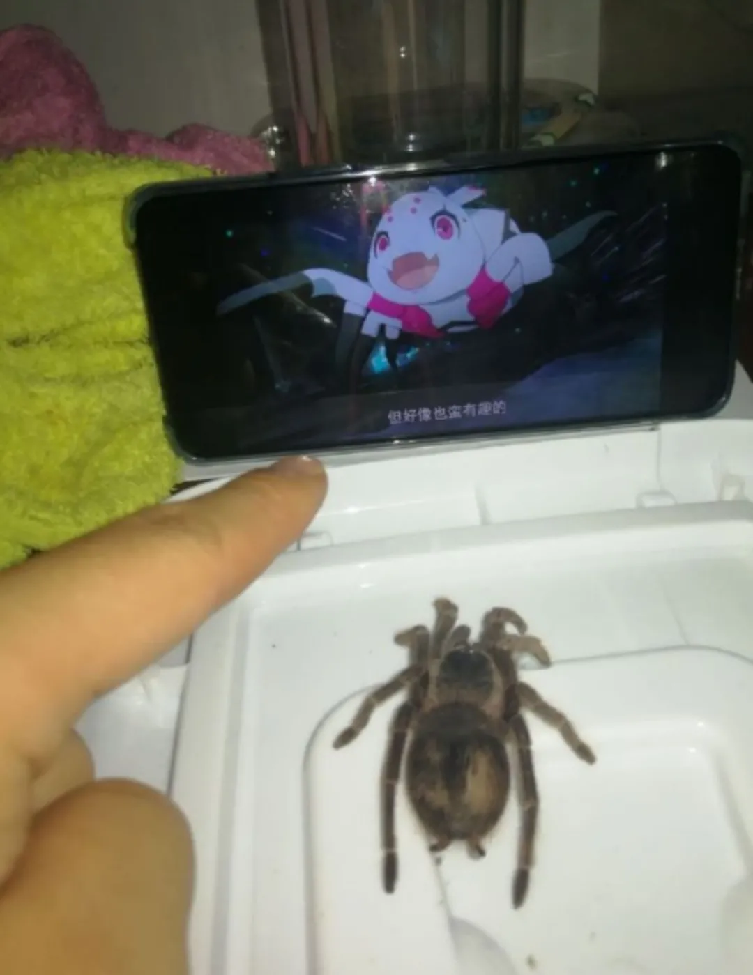 Indoctrination(so i am a spider so what)