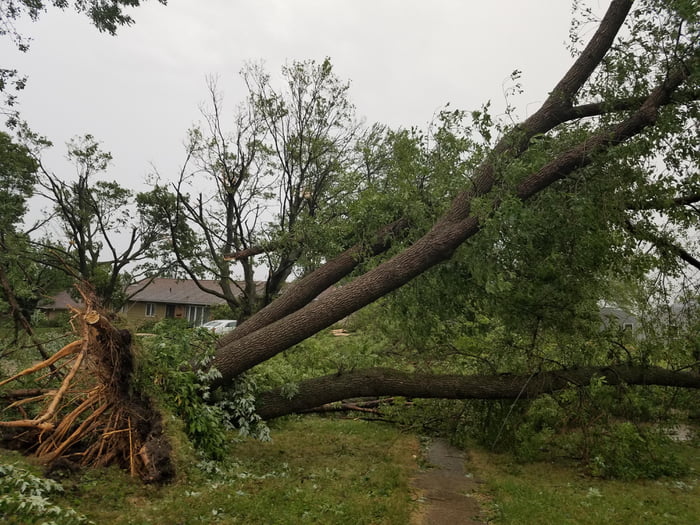 Iowa essentially had a category 2 hurricane with wind speeds up to 106mph (derecho). Over 200,000 people without power and some with no water since monday afternoon. We are in desperate need of help and the national news isnt talking about it.