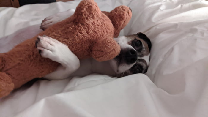 Irish is comfy