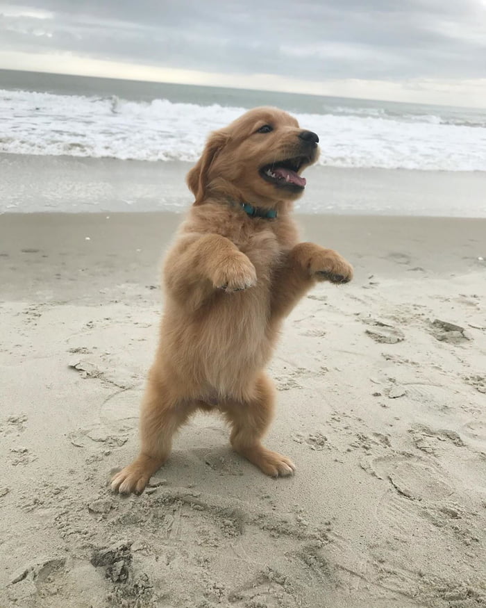 It&#039;s summer time! Who looks excited at all?
