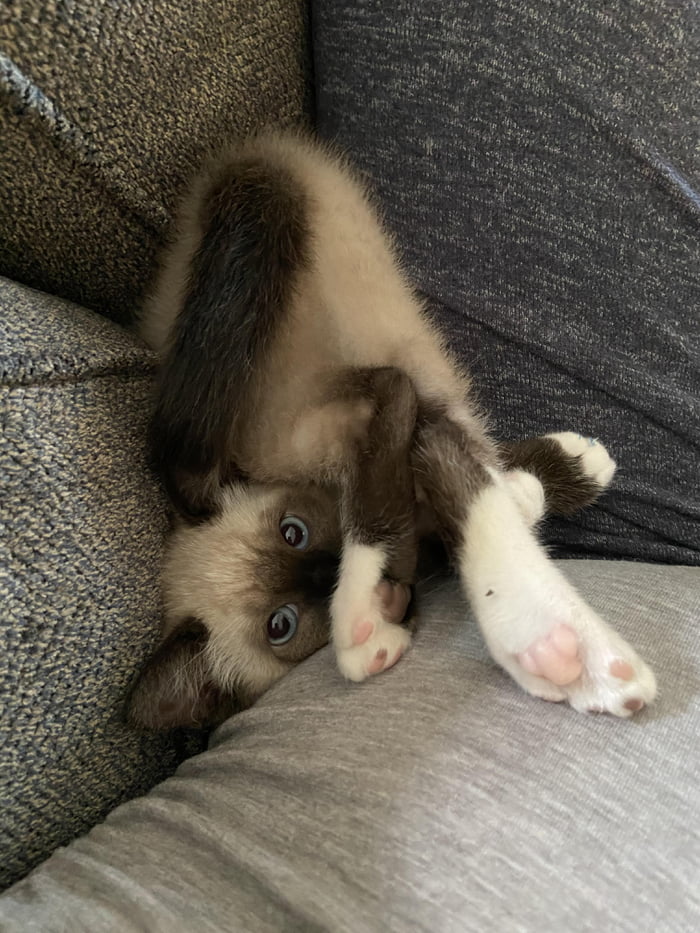 Just Chillin&rsquo;