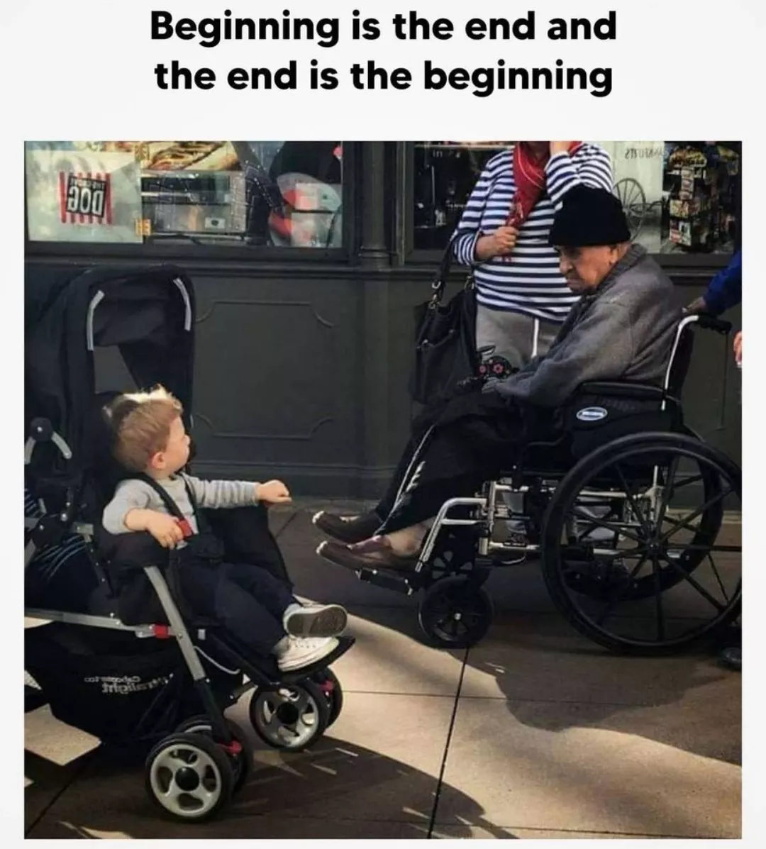 Life cycle
