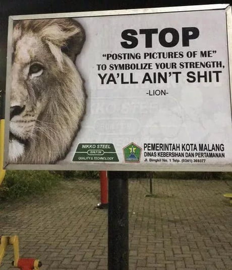 Lion Quote