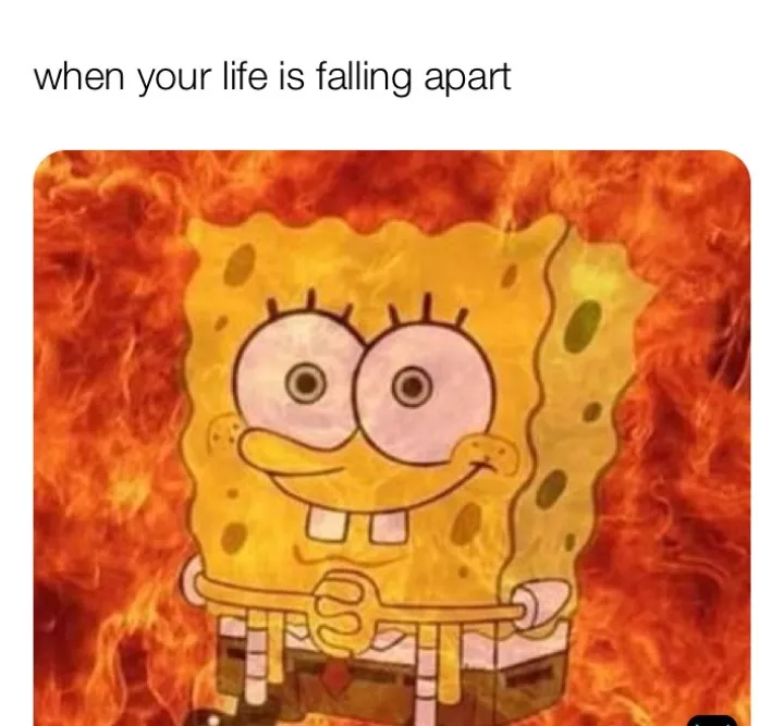 Lol 🤣😆