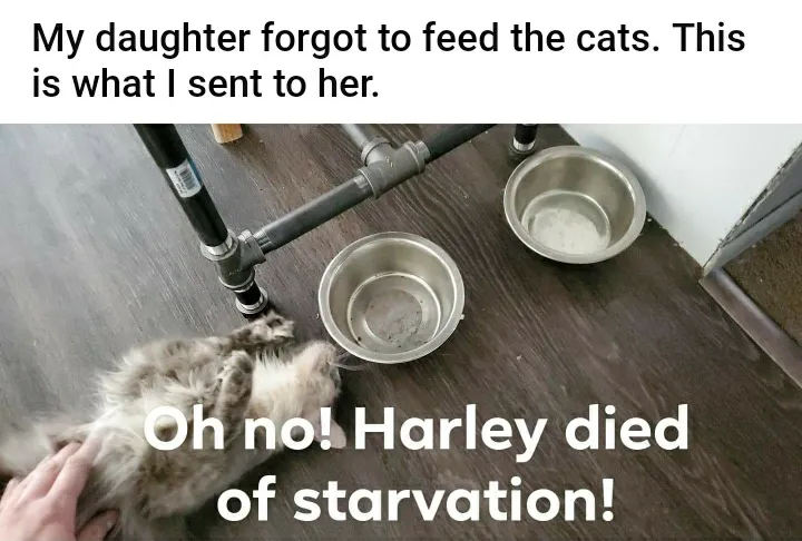 Lol.it was her mistake