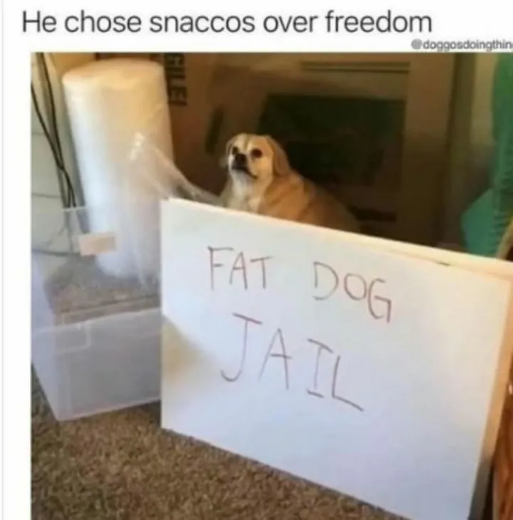 Look at his face