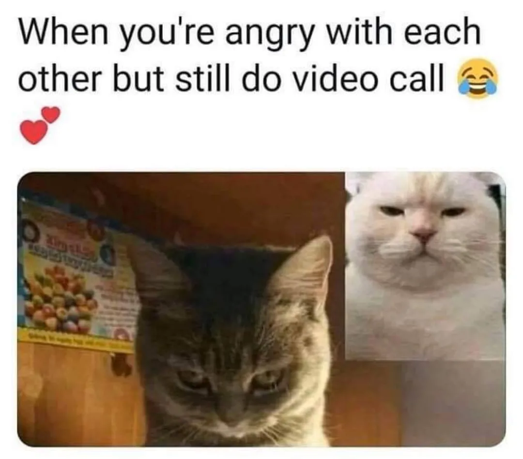 Love facts