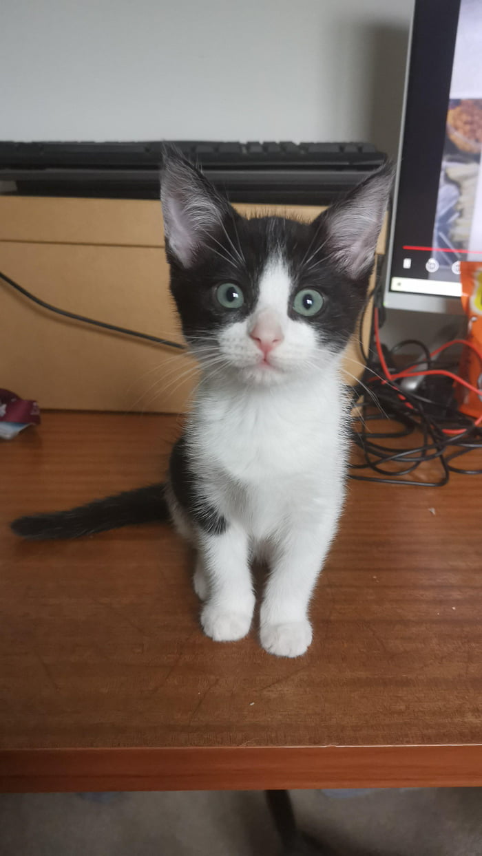 Lulu bean is such a pretty girl