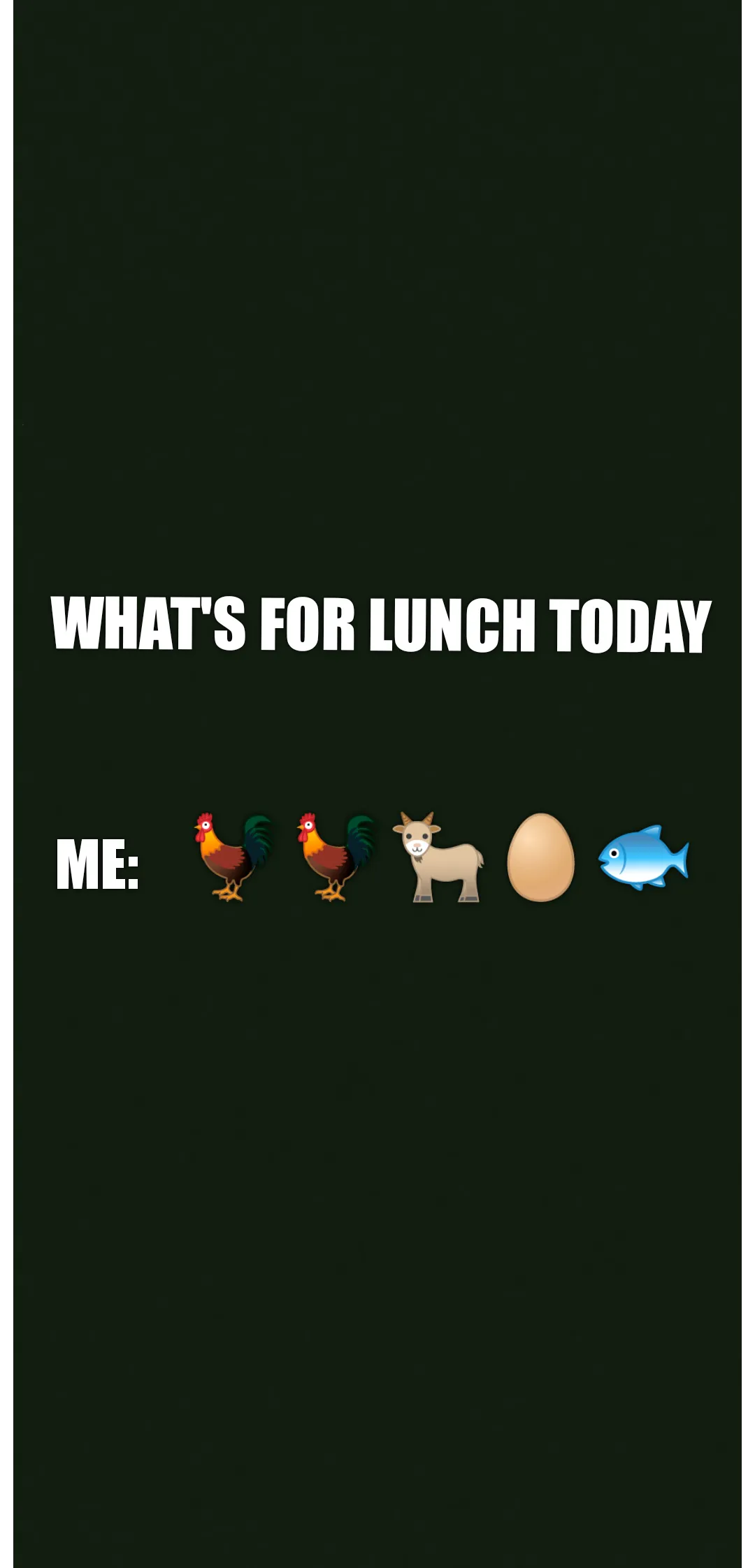 Lunch